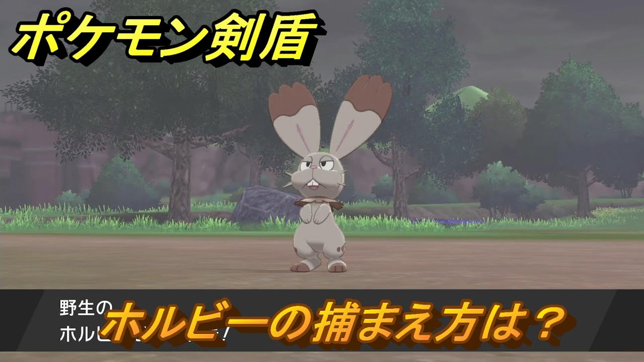 ポケモン剣盾　ホルビーの出現場所は？オススメの場所は？天気は？ポケモン図鑑コンプへの道！　最新版【ポケモンソード・シールド】