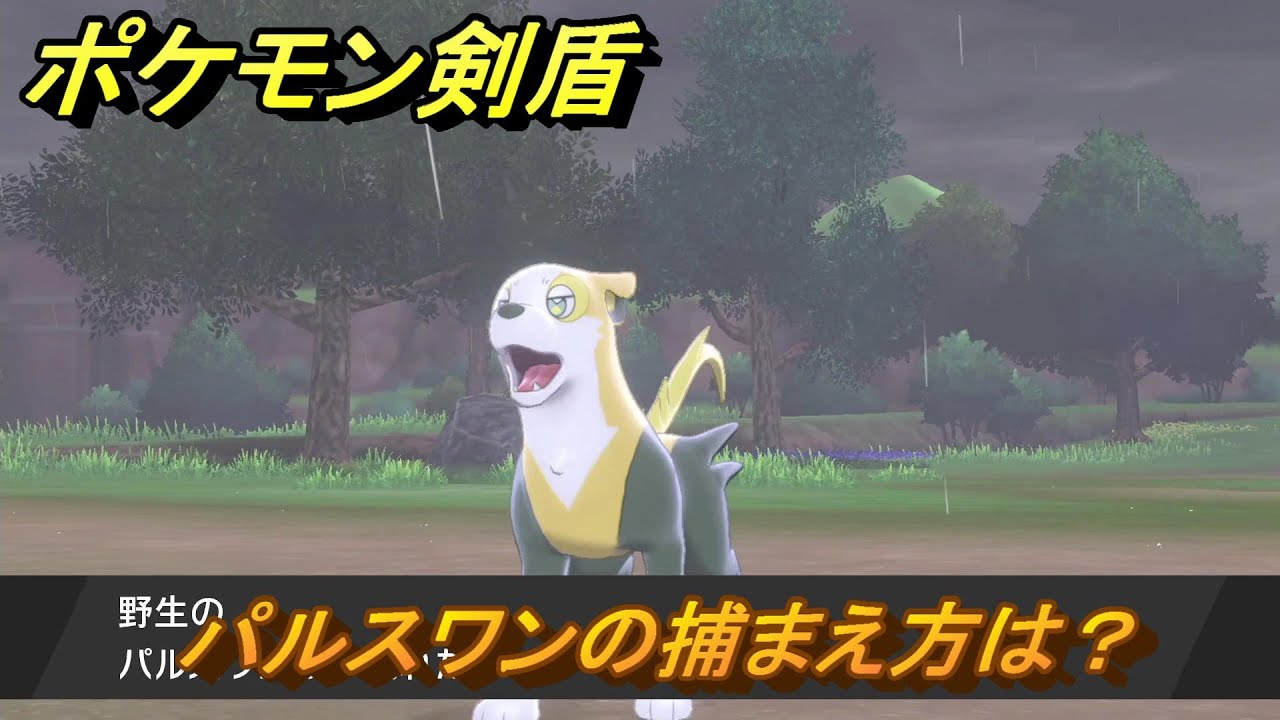 ポケモン剣盾　パルスワンの出現場所は？オススメの場所は？天気は？ポケモン図鑑コンプへの道！　最新版【ポケモンソード・シールド】