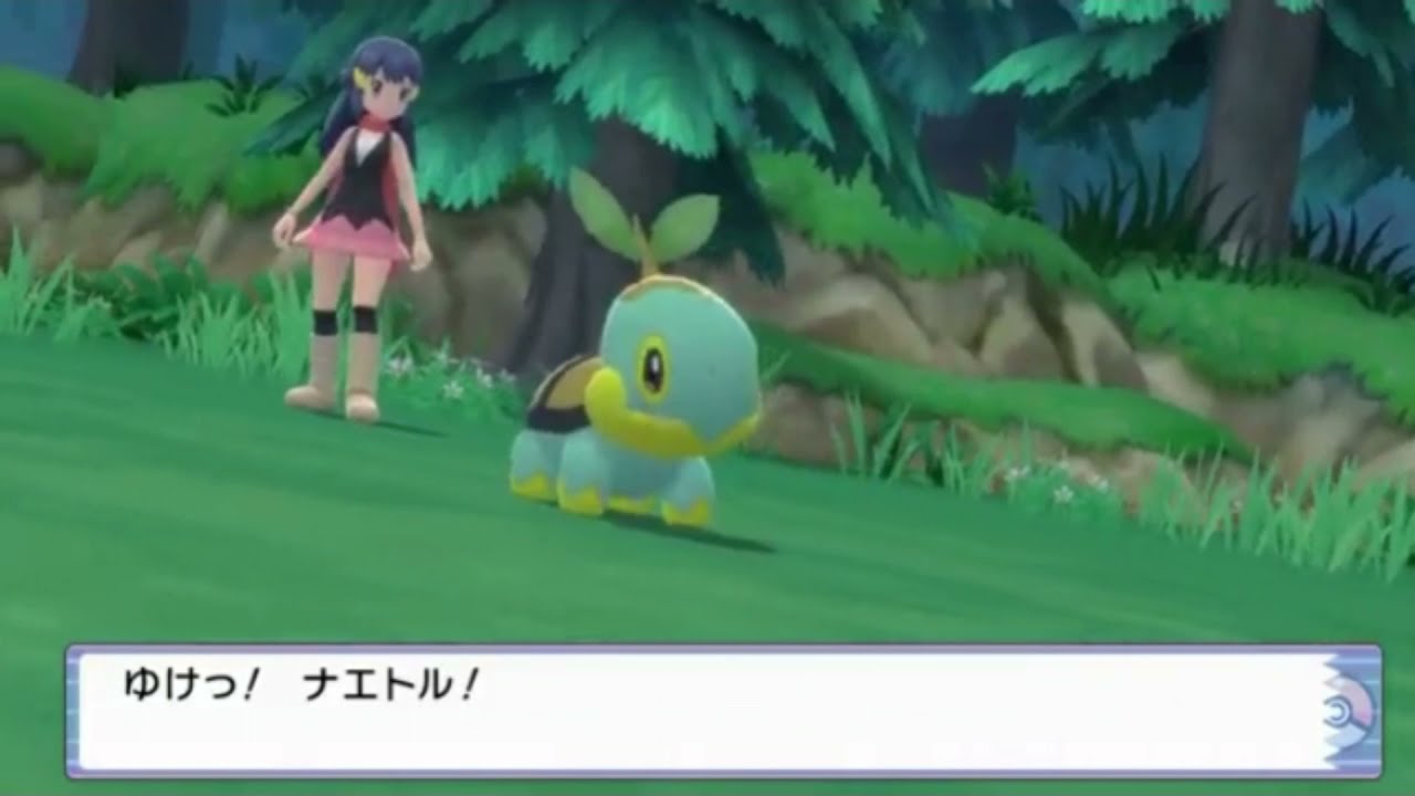 4096/1の確率。色違いナエトルゲットだぜ！