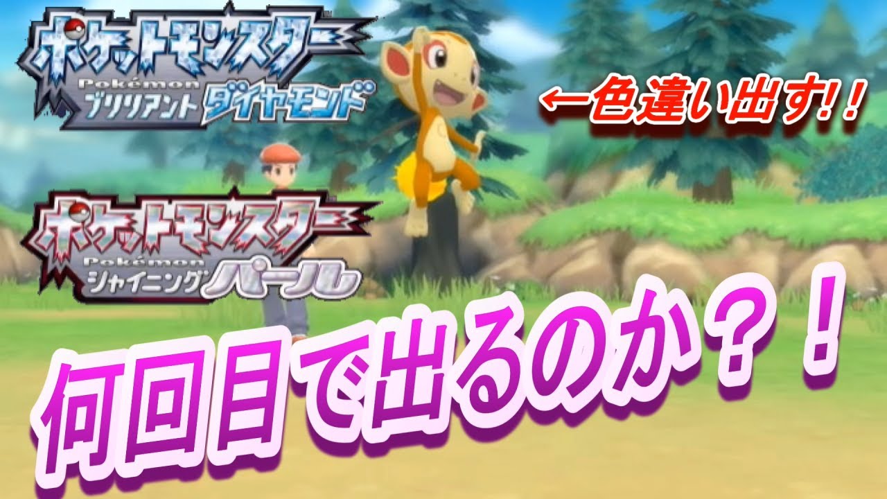 ニンテンドースイッチ　ポケモン御三家ヒコザル色違いチャレンジ！！