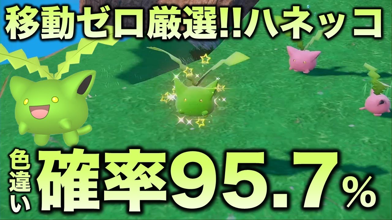 【画面固定可能!!移動なし色厳選】ハネッコ・ポポッコ・ワタッコ編!!【ポケモンSV/スカーレット・バイオレット】