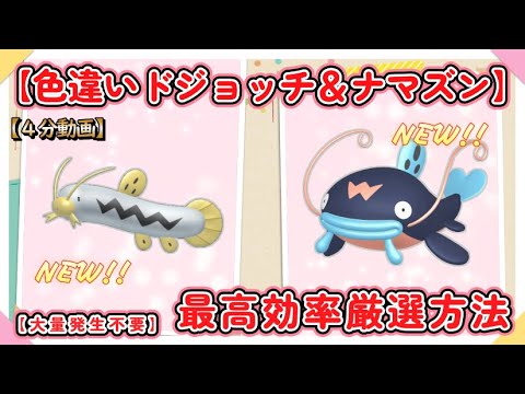 色違いドジョッチ最高効率厳選方法 #ポケモンSV #ドジョッチ #ナマズン #色違い #大量発生不要 #ピクニック