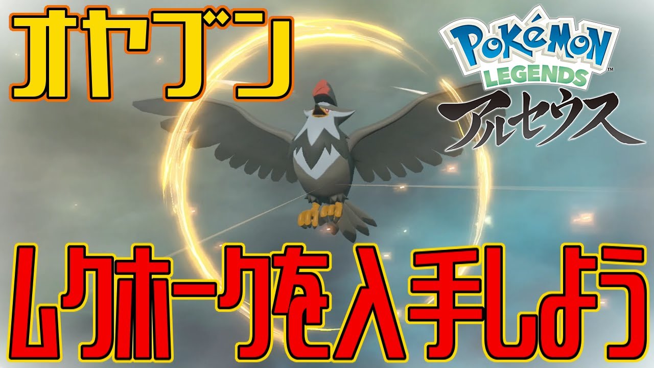 【ポケモンアルセウス】オヤブンのムクホークを入手しよう【Pokémon LEGENDS アルセウス】
