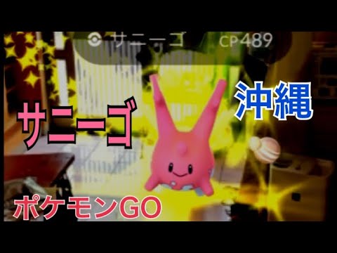 ポケモンGO サニーゴが煙に沖縄県