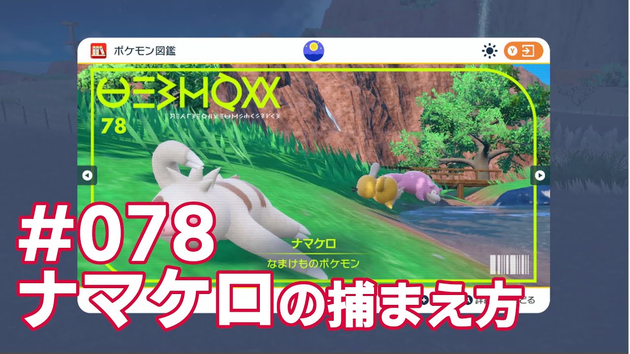ナマケロを探している方に見てほしい動画