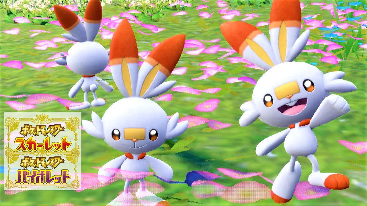 【可愛い】ヒバニー６匹に囲まれて癒されピクニック【ポケモンSV】