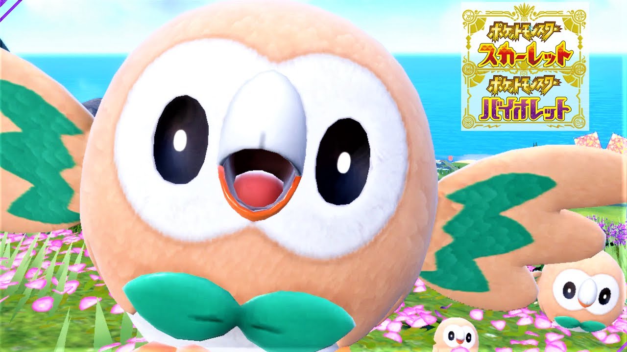 【癒し】モクロー６匹に囲まれて癒されピクニック【ポケモンSV】