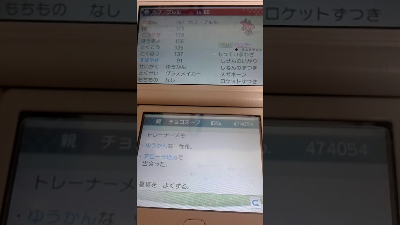 【ポケモンSM】ダイブボールでカプ・ブルルをゲット　後編