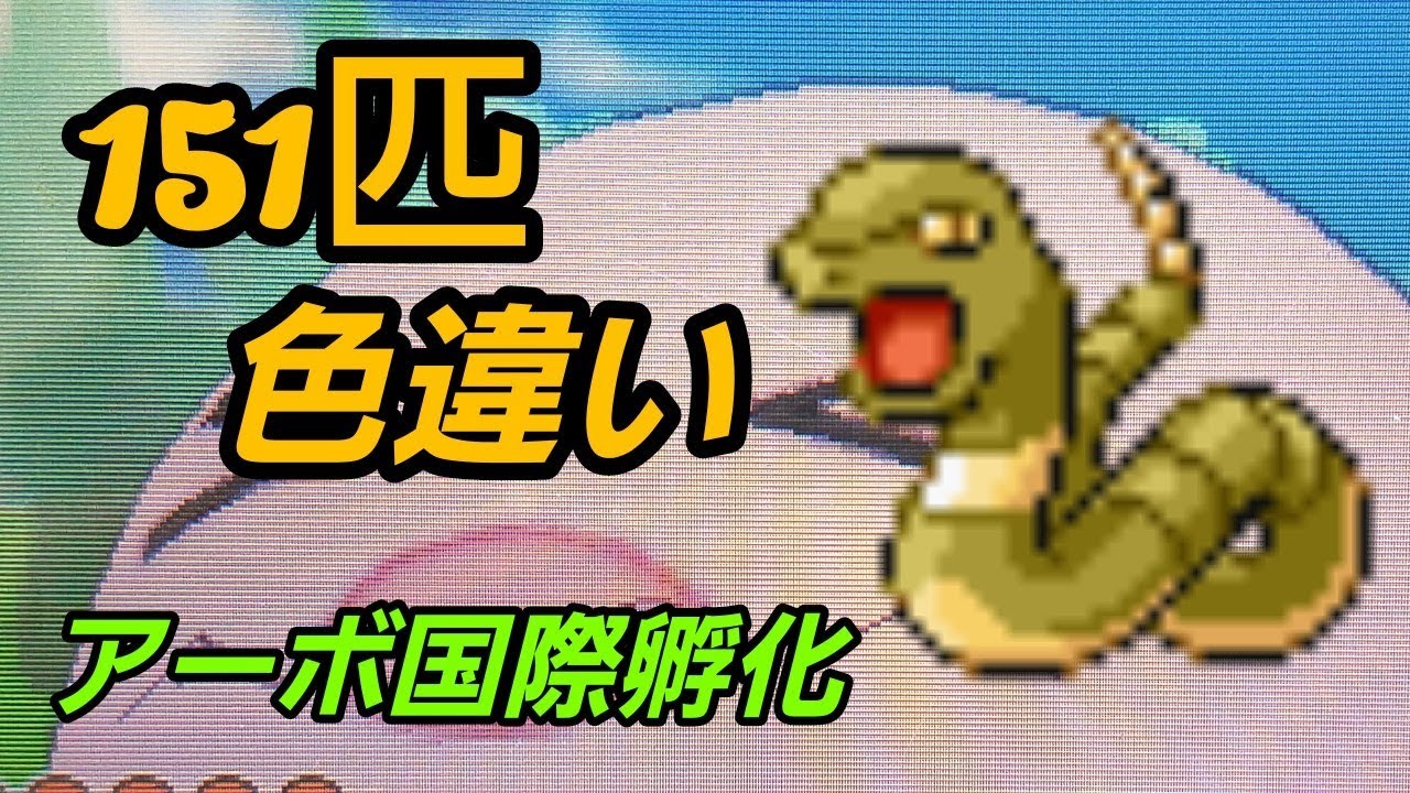 151匹色違い　アーボ　国際孵化配信