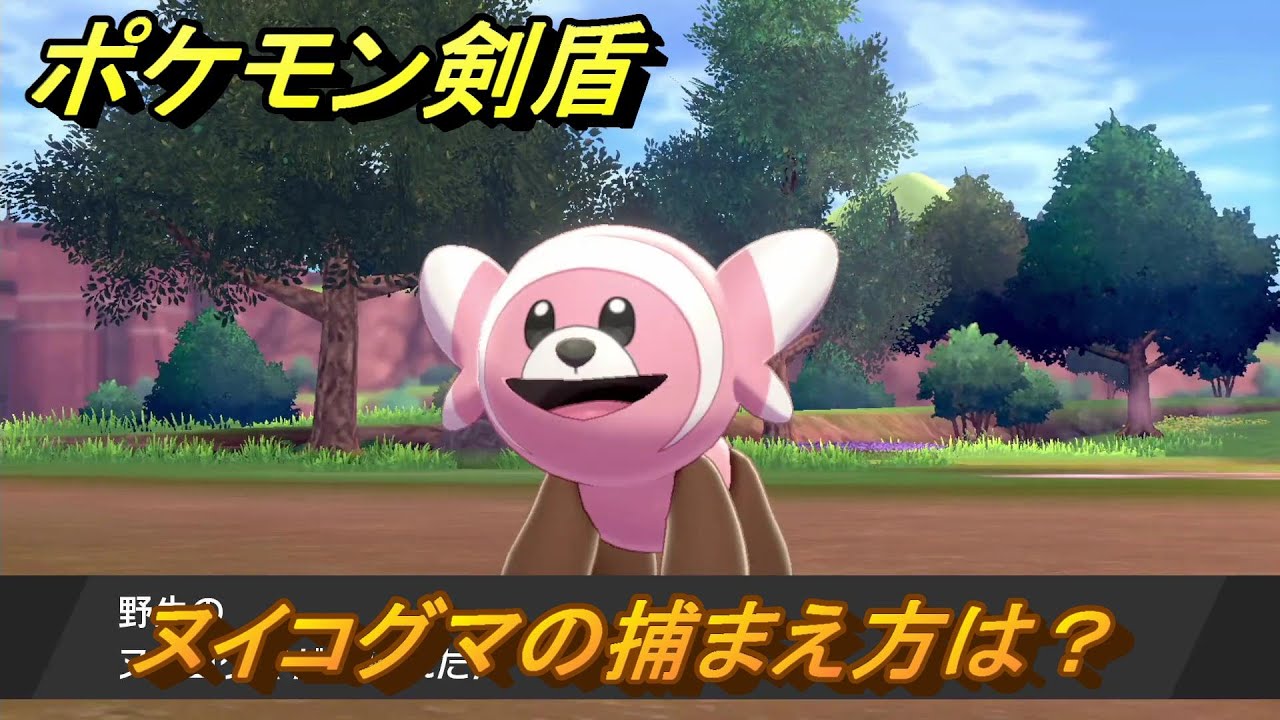 ポケモン剣盾　ヌイコグマの出現場所は？オススメの場所は？天気は？ポケモン図鑑コンプへの道！　最新版【ポケモンソード・シールド】