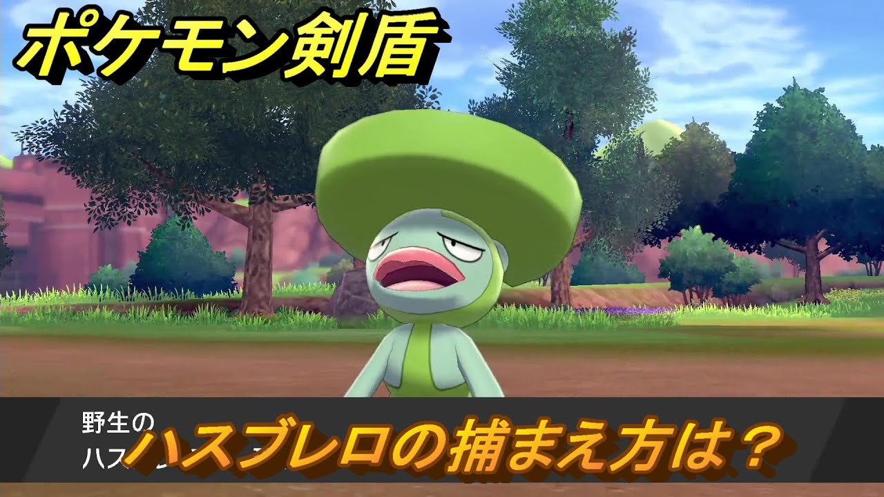 ポケモン剣盾　ハスブレロの出現場所は？オススメの場所は？天気は？ポケモン図鑑コンプへの道！　最新版【ポケモンソード・シールド】