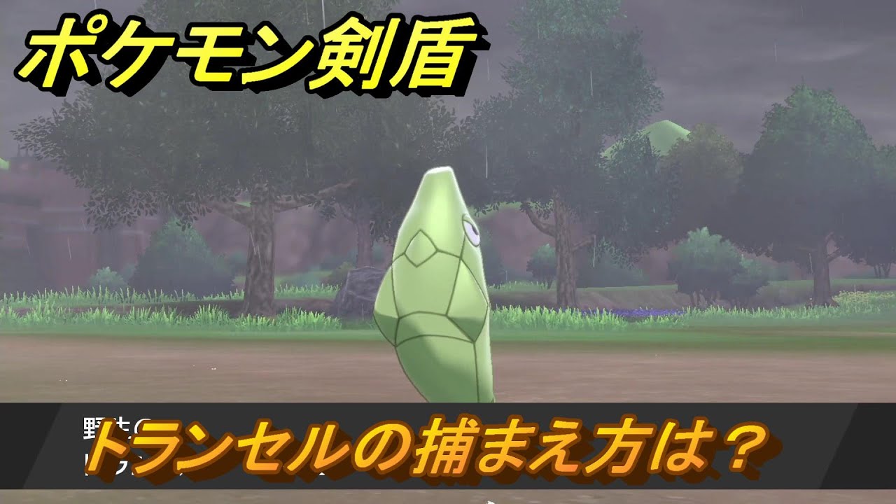 ポケモン剣盾　トランセルの出現場所は？オススメの場所は？天気は？ポケモン図鑑コンプへの道！　最新版【ポケモンソード・シールド】