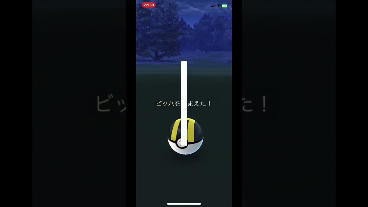 【2体目色違いビッパ→初色違いビーダル】#shiny #shorts #shinypokemon #pokemongo #色違いビッパ　#色違いビーダル　#ビッパ　#ビーダル　#ポケモンgo #色違い