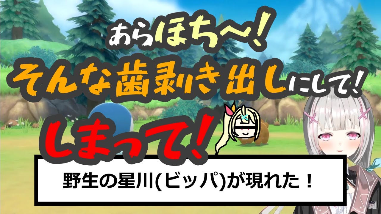 野生の星川サラ(ビッパ)と戯れる空澄セナ【ポケモンbdsp 切り抜き 空澄セナ】
