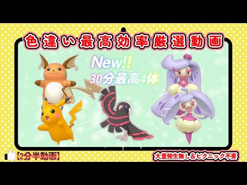 30分最高4体色違いオドリドリ・ピカチュウ・アママイコ最高効率厳選 #ポケモンsv #オドリドリ #アマージョ #ライチュウ #大量発生不要 #色違い