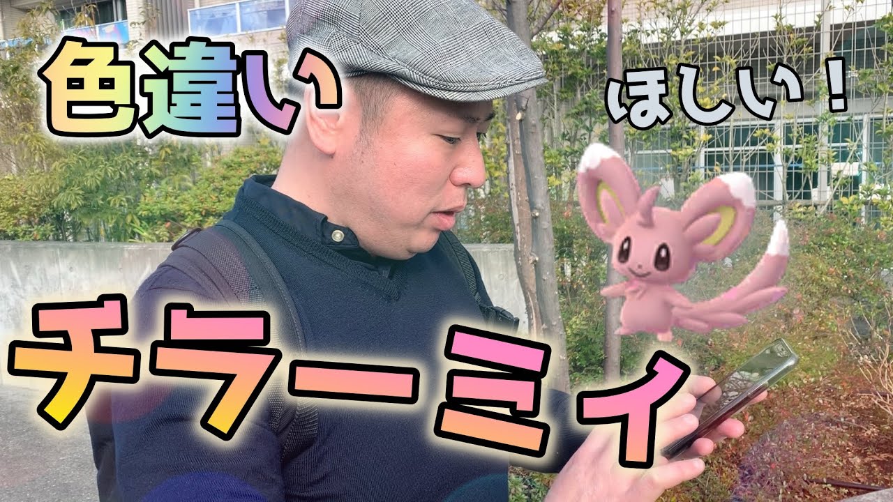 チラーミィ色違いゲットなるか！？限定タスクとタマゴで狙った結果【ポケモンGO】