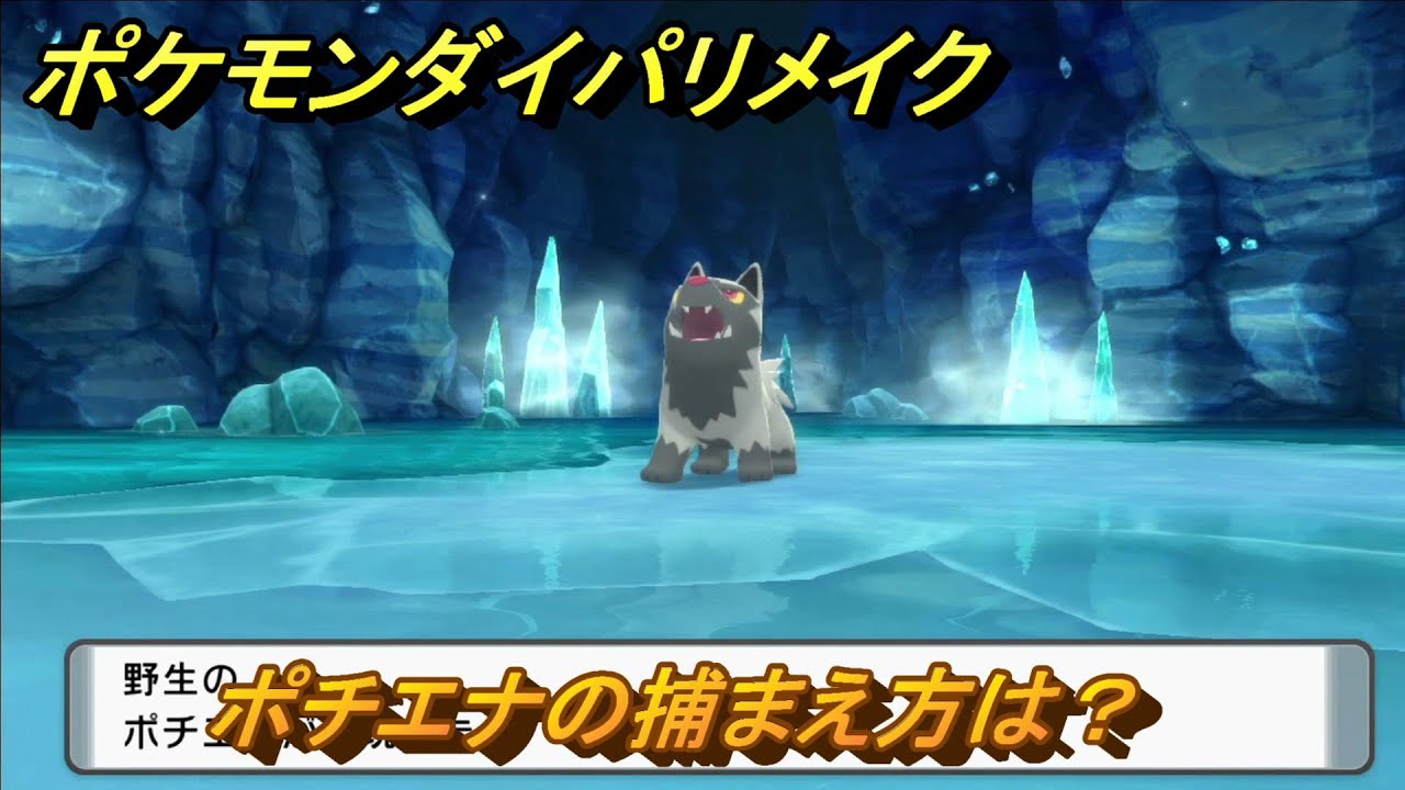 ポケモンダイパリメイク　ポチエナの捕まえ方は？出現場所は？　最新版【ブリリアントダイヤモンド・シャイニングパール】