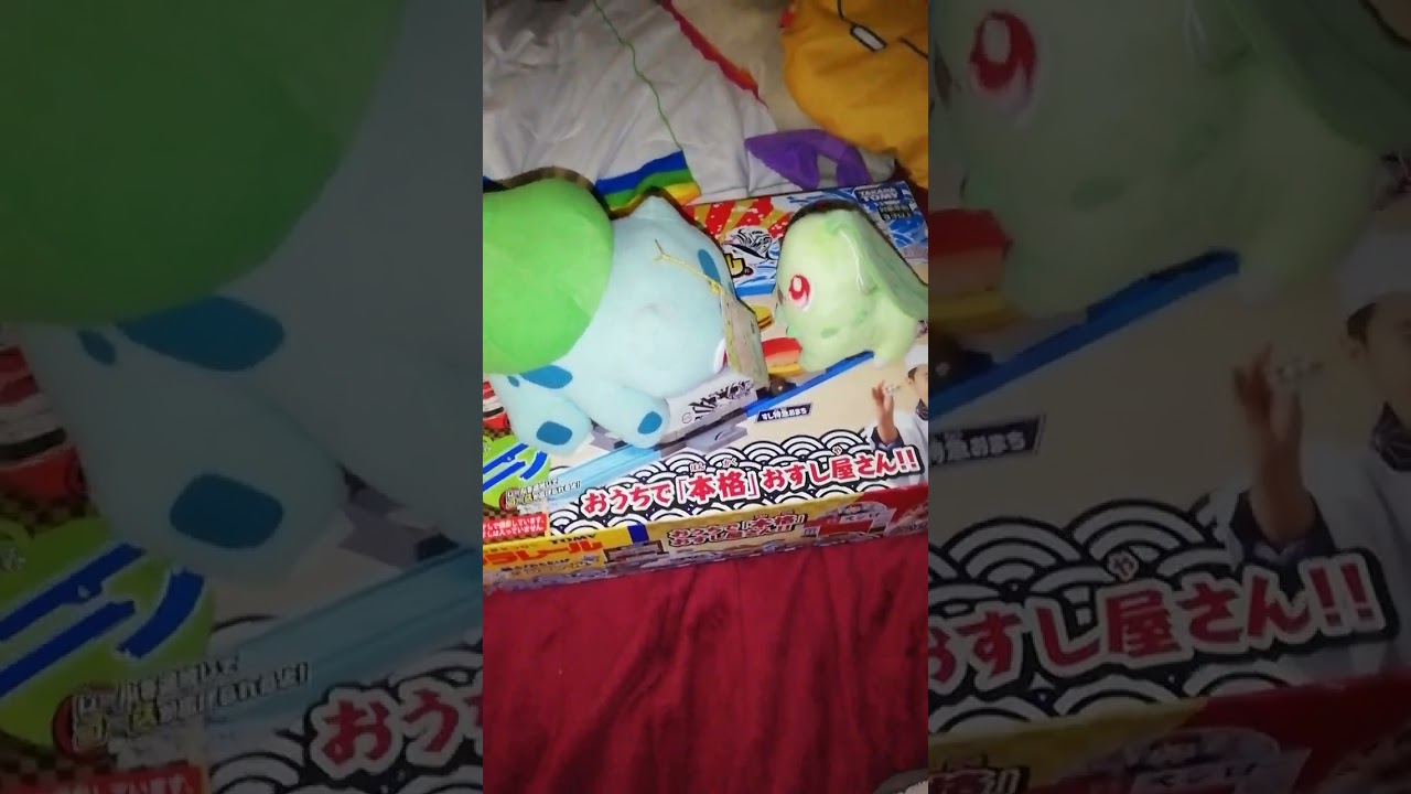 フシギダネのぬいぐるみとチコリータのぬいぐるみでトントン相撲をやってみた。