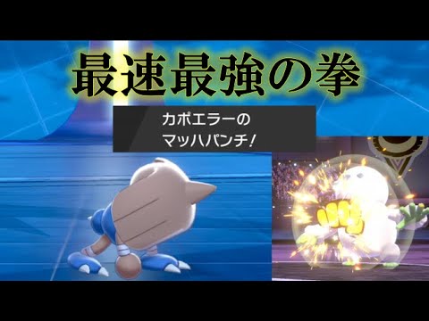 カポエラーって今の環境で強いんじゃね？【ポケモン剣盾】