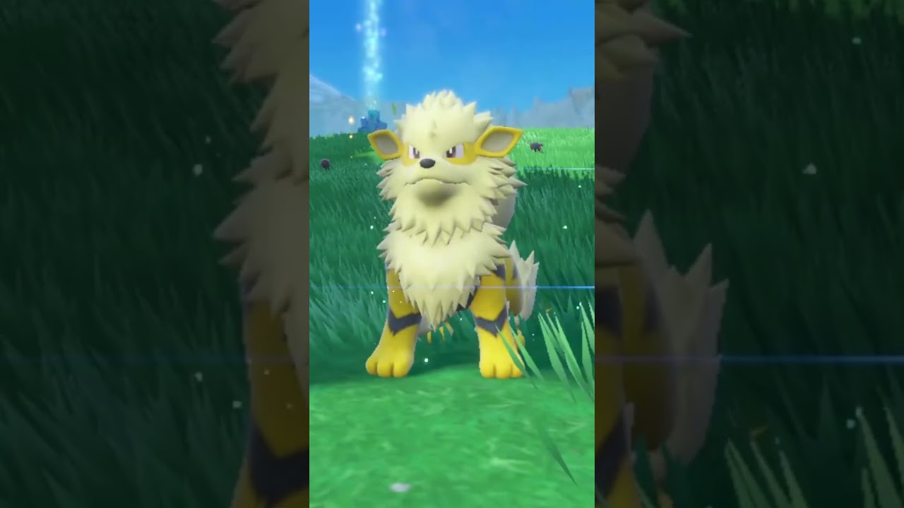 【ポケモンSV】後ろ姿もカッコいい！！色違いガーディからウィンディへの進化【1周ぐるりと見せますシリーズ】