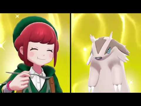 ポケモンホーム解禁！ガラルマッスグマと原種マッスグマでポケモンキャンプ！【ポケモン剣盾 ポケモンソードシールド/ポケモンHOME 】