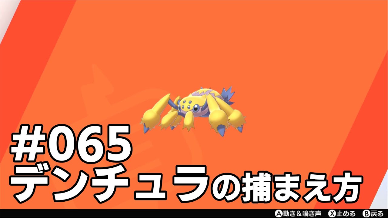 デンチュラを探している方に見てほしい動画