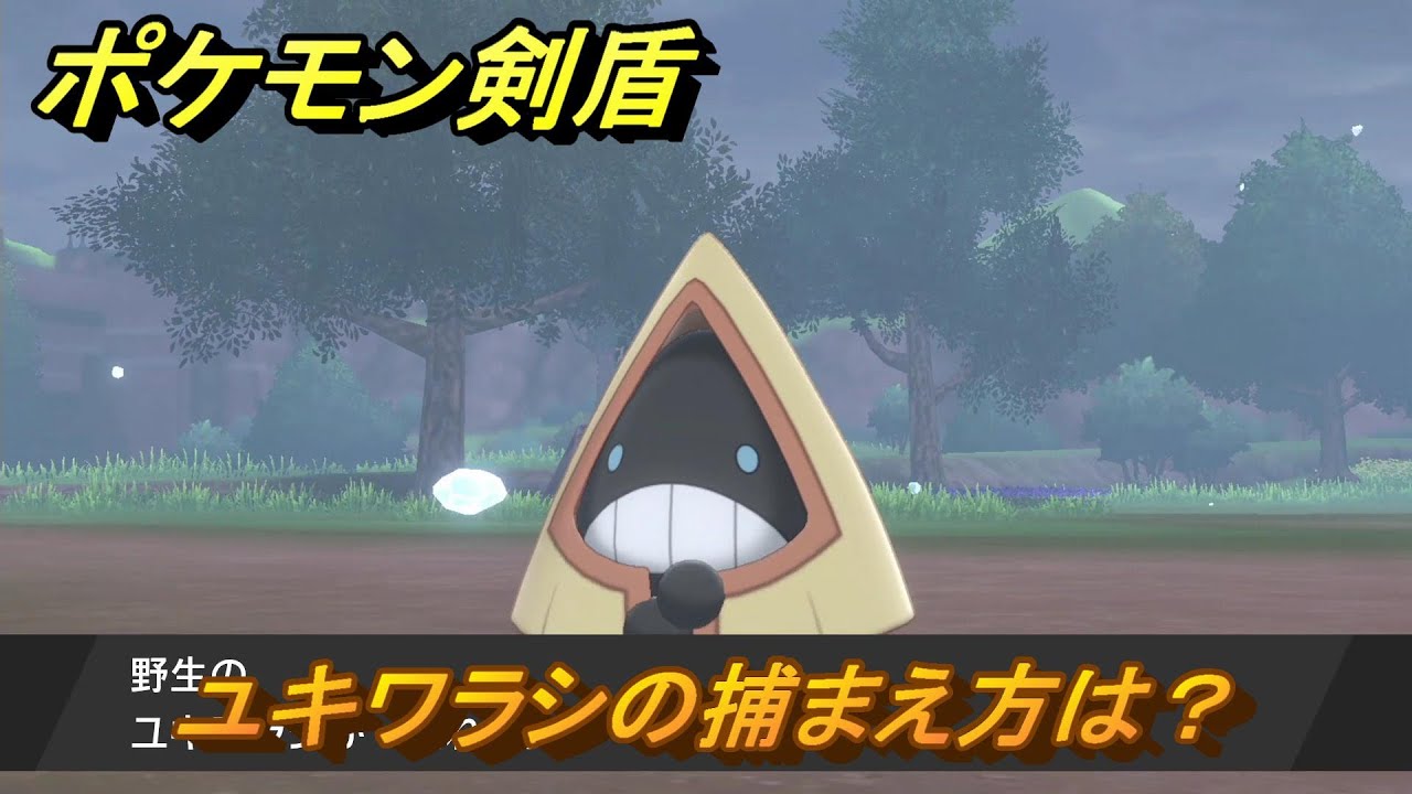 ポケモン剣盾　ユキワラシの出現場所は？オススメの場所は？天気は？ポケモン図鑑コンプへの道！　最新版【ポケモンソード・シールド】