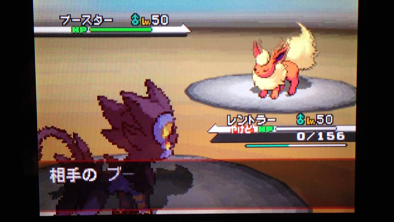 ポケモンBWランダム　ヌマクロー奮闘記ｼﾘｰｽﾞ１　レントラーも奮闘