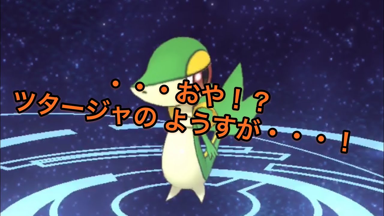 【ポケモンマスターズ】ツタージャ進化！