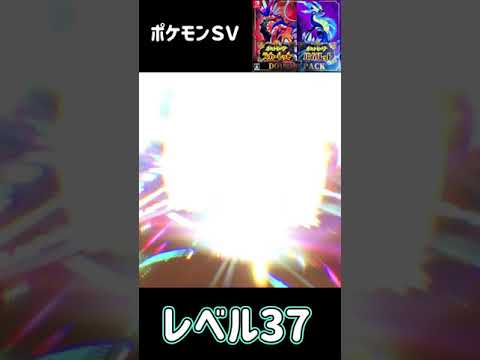 ポケモン　スカーレット　バイオレット　クマシュン進化　ツンベアー