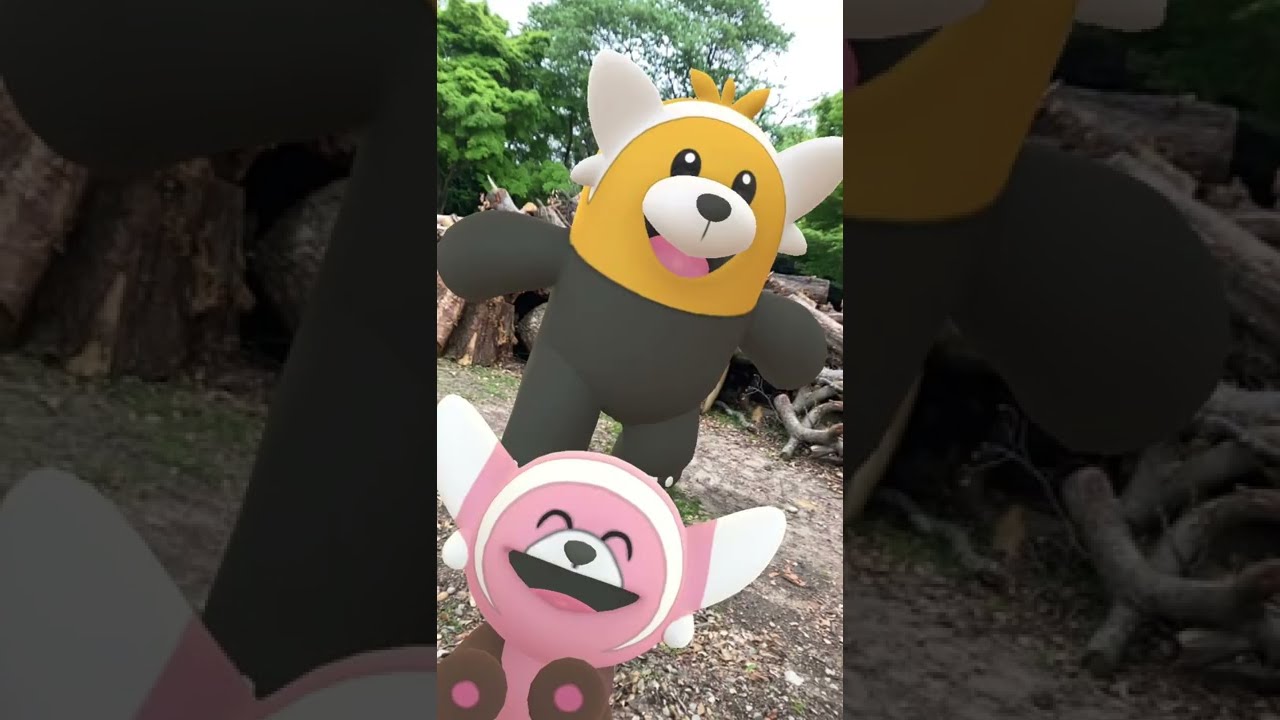 ヌイコグマ｜Stufful｜キテルグマ｜Bewear｜Shiny Pokémon｜GOphotobomb【ポケモンGO】フォトボム｜AR動画｜PoKeMoN GO AR｜#Shorts