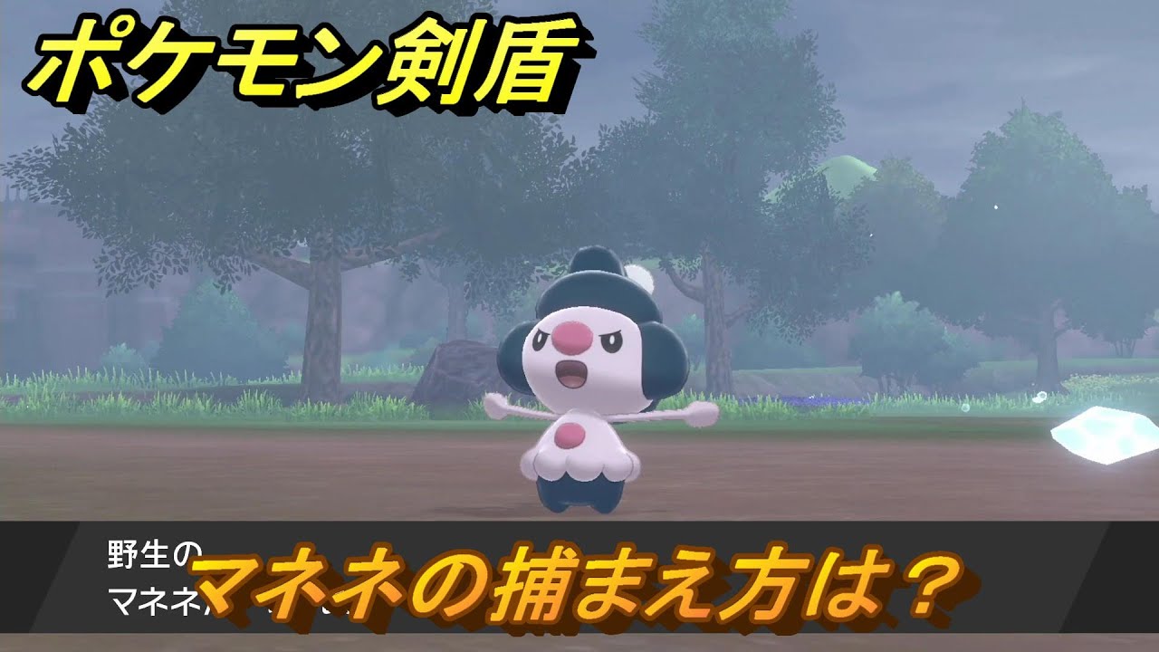 ポケモン剣盾　マネネの出現場所は？オススメの場所は？天気は？ポケモン図鑑コンプへの道！　最新版【ポケモンソード・シールド】