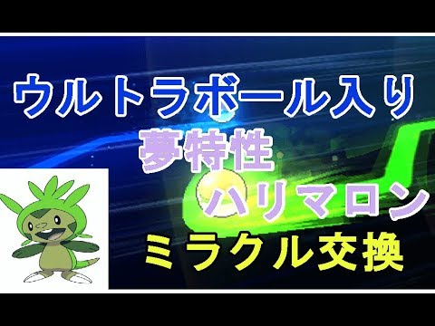 【ポケモンUSUM】めざせ！わらしべ長者！ウルトラボール入り夢特性ハリマロン編【ミラクル交換】