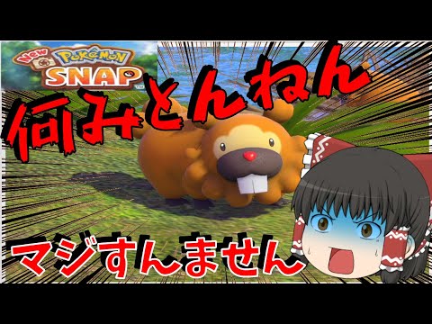 【New ポケモンスナップ】そんなカメラ目線なことある⁈ビッパお前可愛いやつだなあ　ゆっくり実況