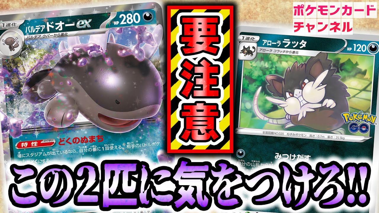 【ポケカ対戦】きぜつ不可避の凶悪コンボ！？パルデア ドオーexとアローララッタが大暴れ！【トリプレットビート/ポケモンカード】