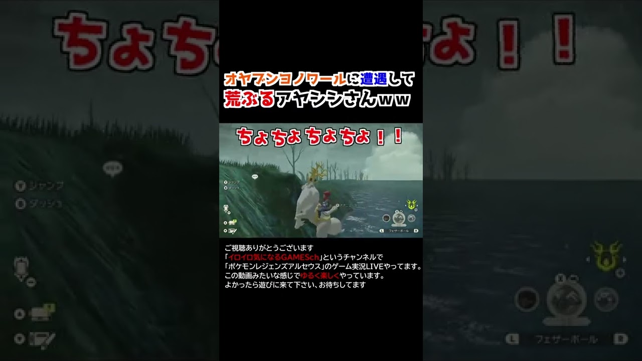 オヤブンヨノワールにビビるアヤシシさんｗｗ【Pokémon LEGENDS アルセウス】