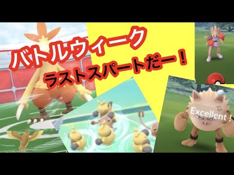 ワカシャモレイドを全力で楽しむ＆色違い探し（ポケモンGO）