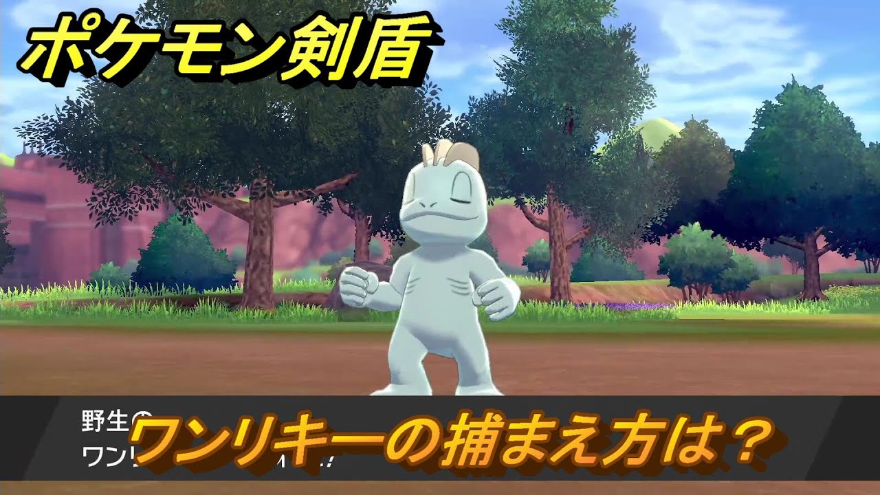ポケモン剣盾　ワンリキーの出現場所は？オススメの場所は？天気は？ポケモン図鑑コンプへの道！　最新版【ポケモンソード・シールド】