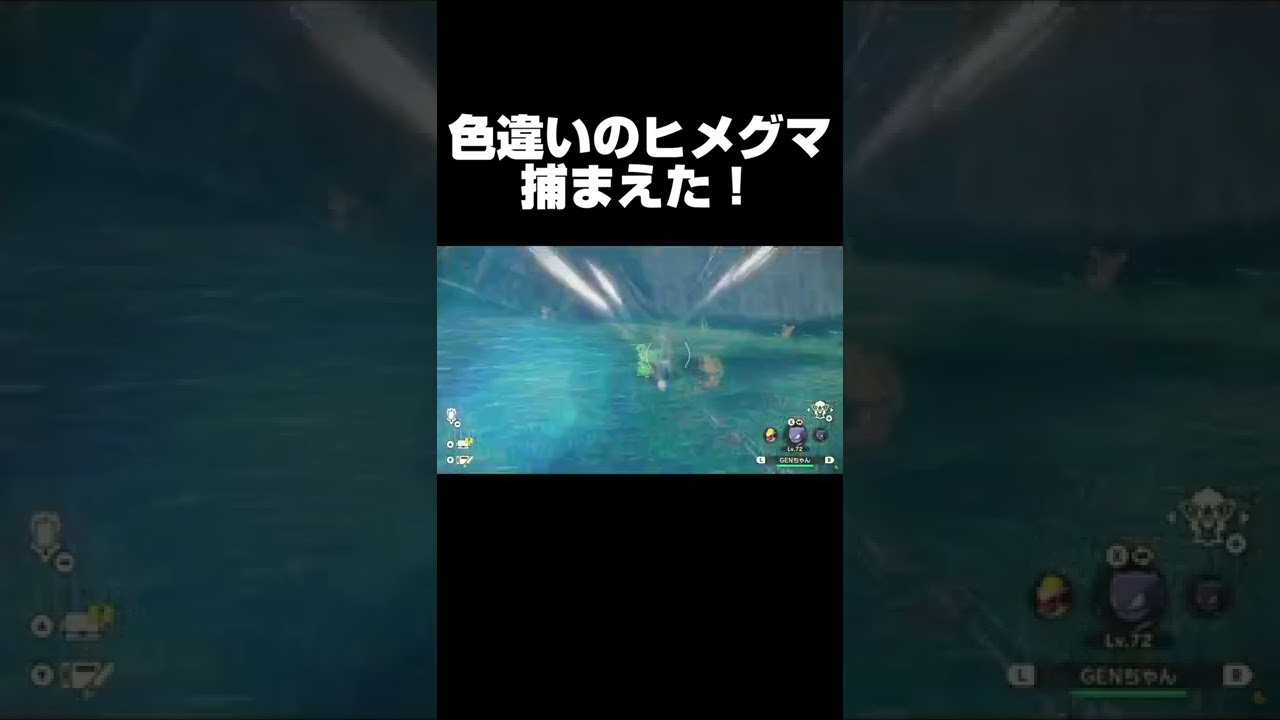 色違いのヒメグマをゲットした！ #Shorts