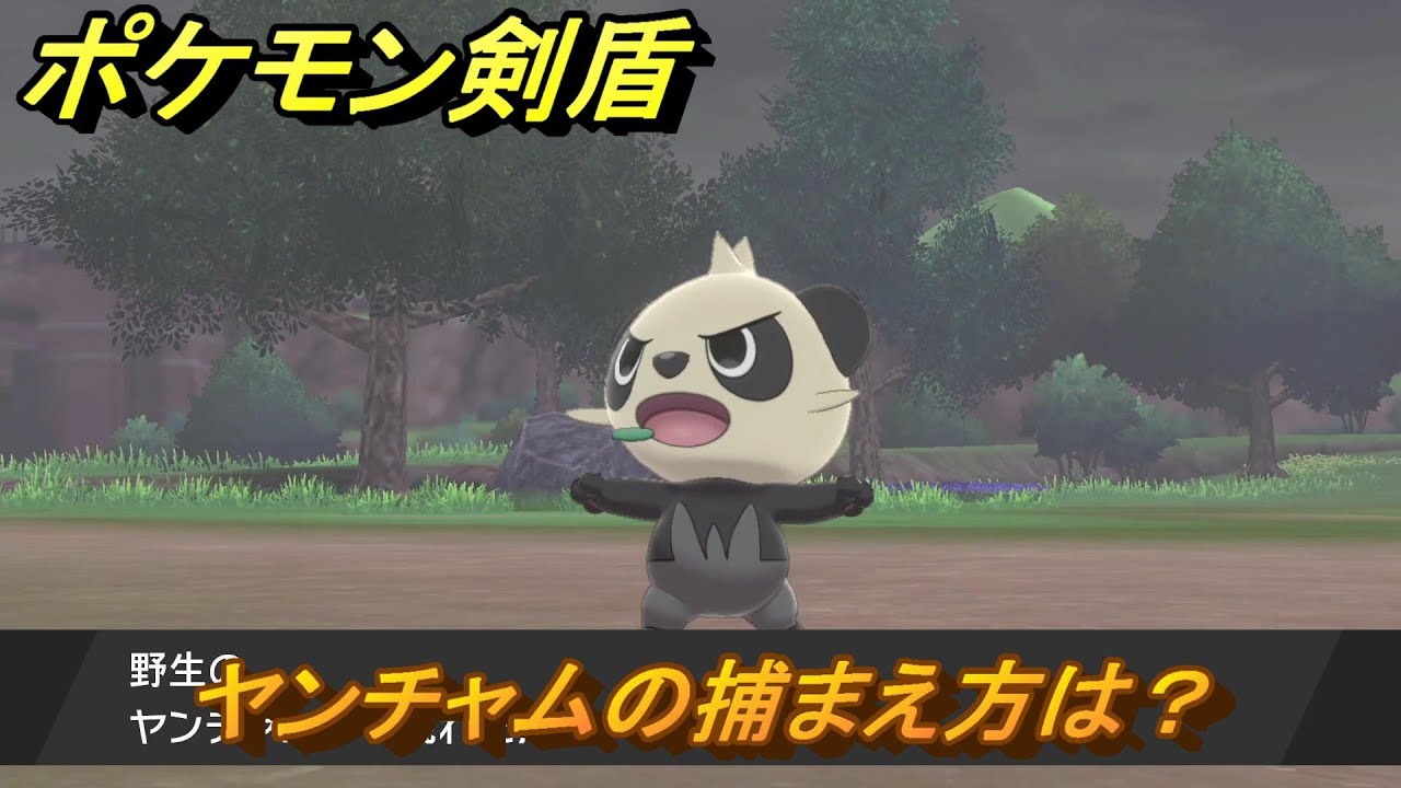 ポケモン剣盾　ヤンチャムの出現場所は？オススメの場所は？天気は？ポケモン図鑑コンプへの道！　最新版【ポケモンソード・シールド】