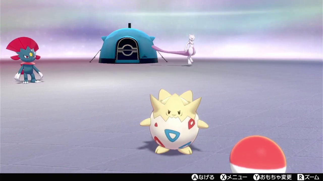 【ポケモン剣盾】トゲピーが可愛かった