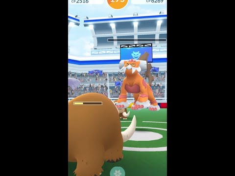 【ポケモンGO】色違いランドやりつつのイワンコ