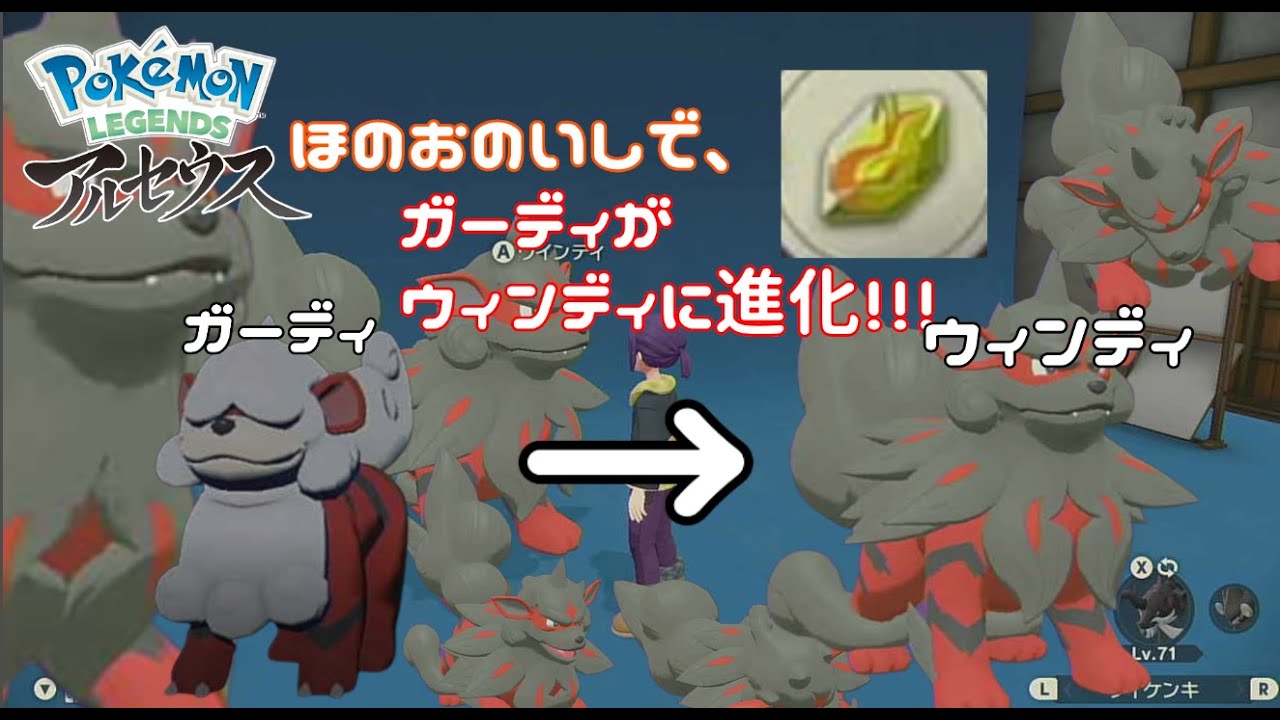 ヒスイガーディが、ほのおのいしで、ヒスイウィンディになった。【pokemonLEGENDSアルセウス】【ガーディ】【ウィンディ】【ほのおのいし】【shorts】