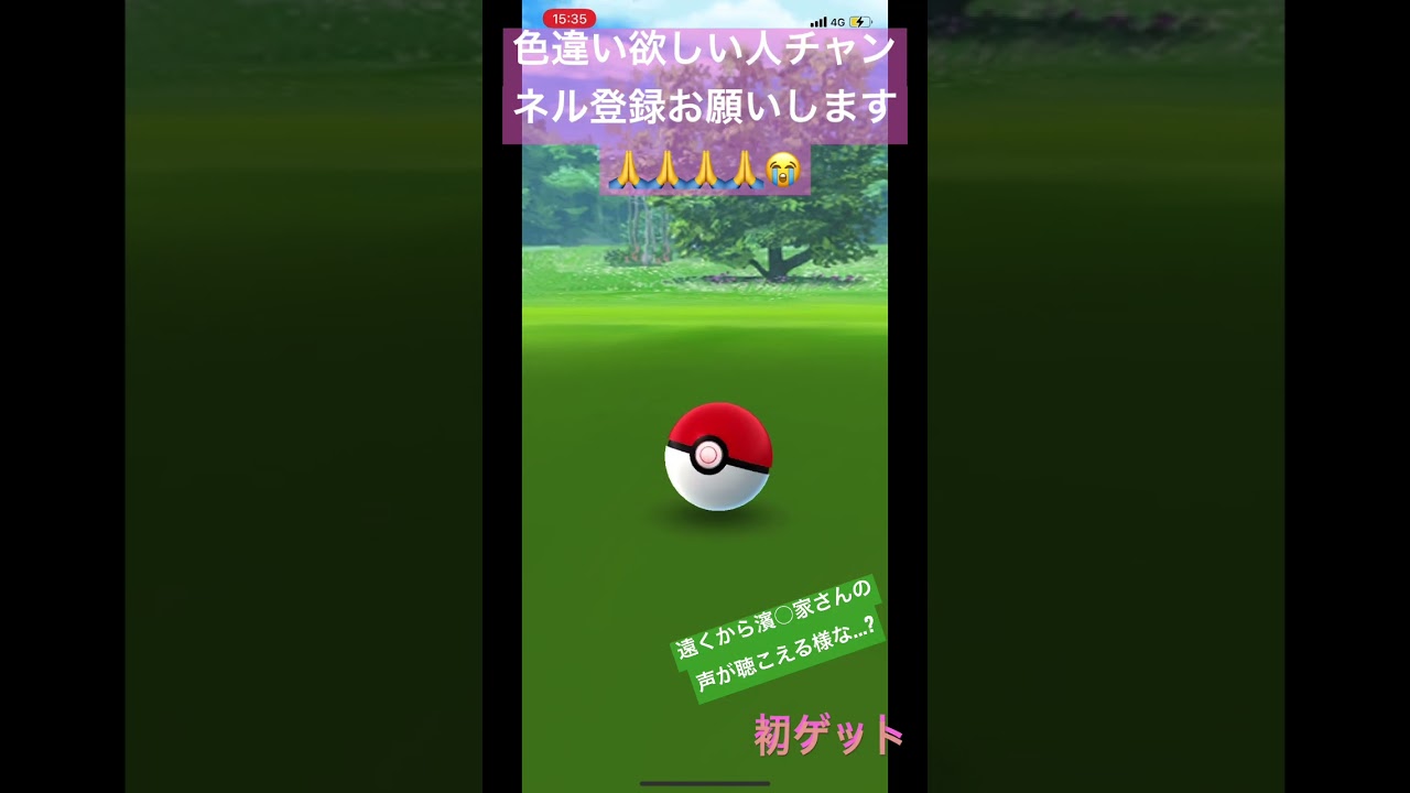 リボン付きのミミロルの色違いが出ました！！初ゲットで嬉しい！#shorts #short #ytshorts #pokemongo #ポケモン #pokemon #ポケットモンスター #色違い