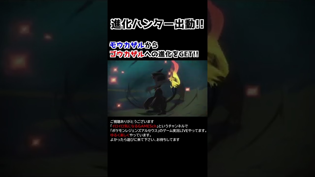 モウカザル→ゴウカザル進化【Pokémon LEGENDS アルセウス】【進化ハンター】