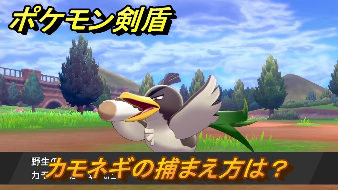 ポケモン剣盾　カモネギの出現場所は？オススメの場所は？天気は？ポケモン図鑑コンプへの道！　最新版【ポケモンソード・シールド】