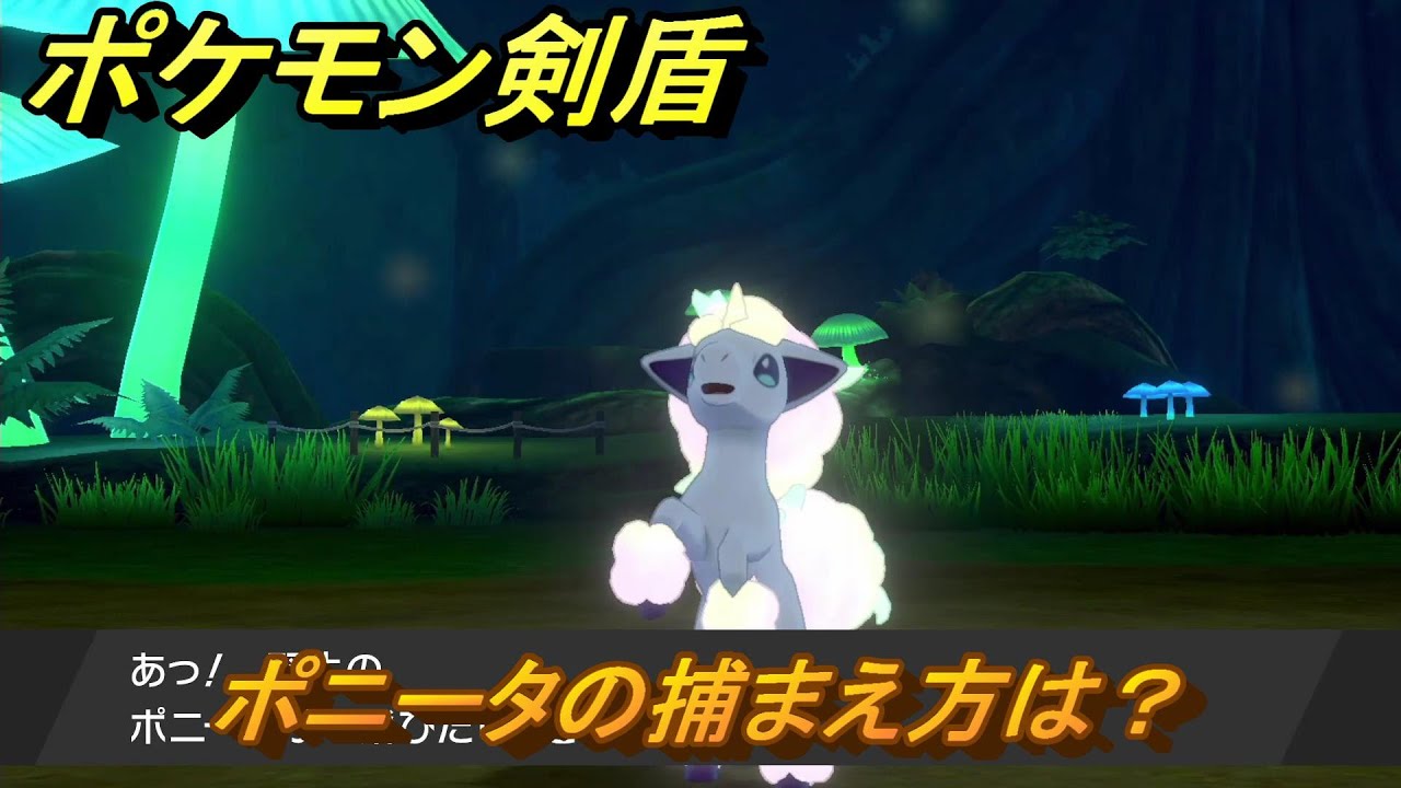 ポケモン剣盾　ポニータの出現場所は？オススメの場所は？天気は？ポケモン図鑑コンプへの道！　最新版【ポケモンソード・シールド】