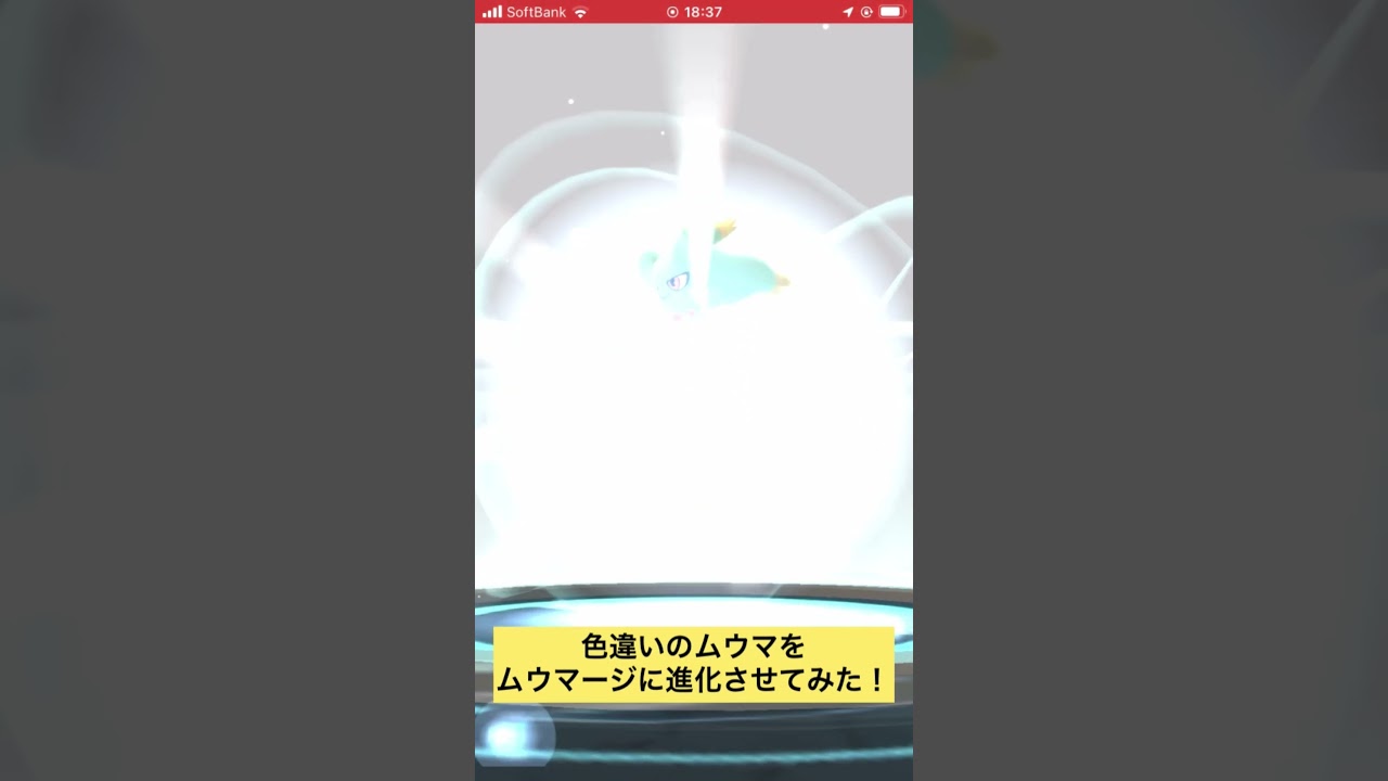 色違いのムウマをムウマージに進化させてみた！ #ポケモンgo #色違い