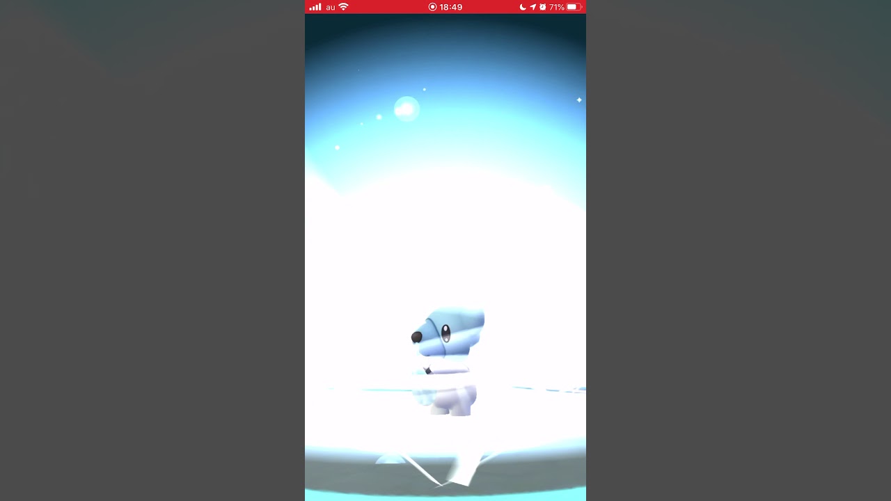 ［ポケモンGO］進化「クマシュン→ツンベアー」