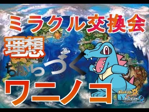 夢特性理想多数！！大口ポケモンワニノコ配布！【ミラクル交換会】